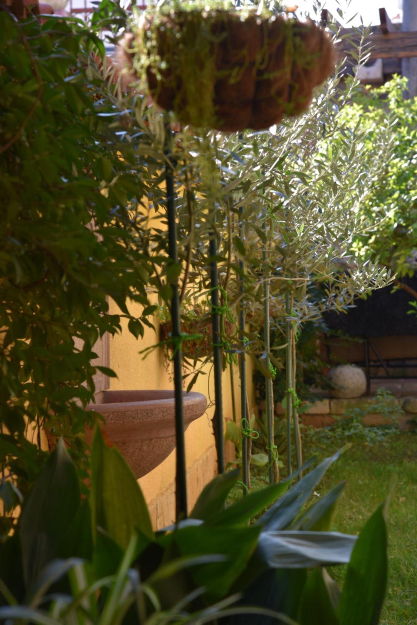 Villa House Justina Zadar Exterior foto